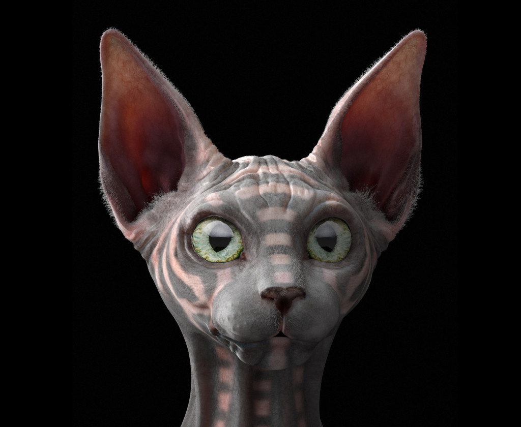 Scat head 2 Award-winning 3D fantasy Sphynx cat closeup