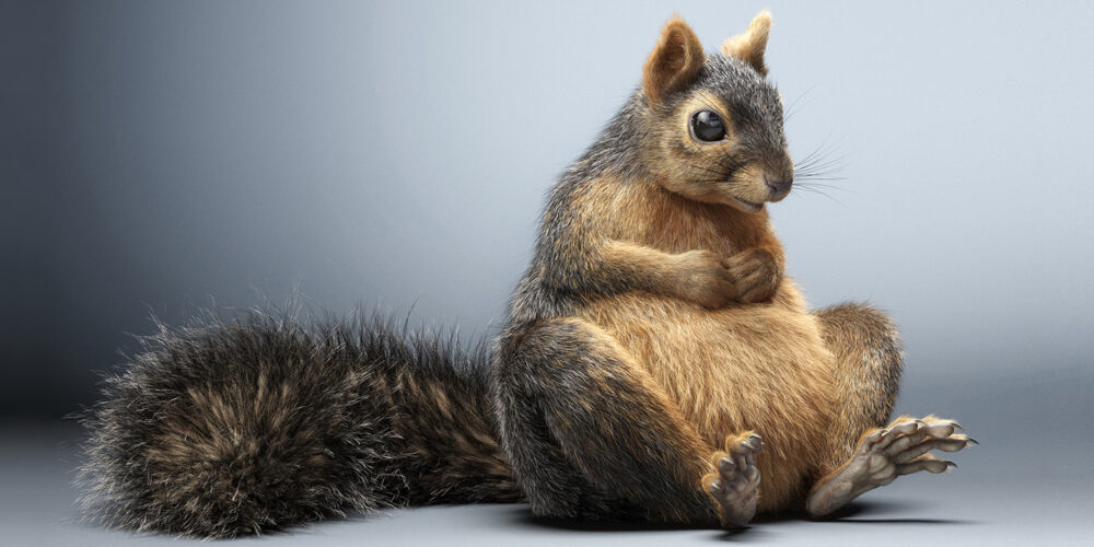 Award-winning photorealistic 3D squirrel render showcasing 3D fur grooming and lighting.