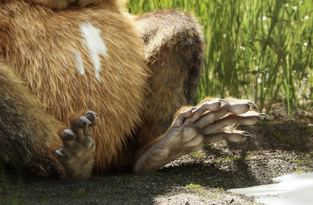 Photorealistic 3D squirrel render showcasing 3D fur grooming and lighting in outdoor environment closeup