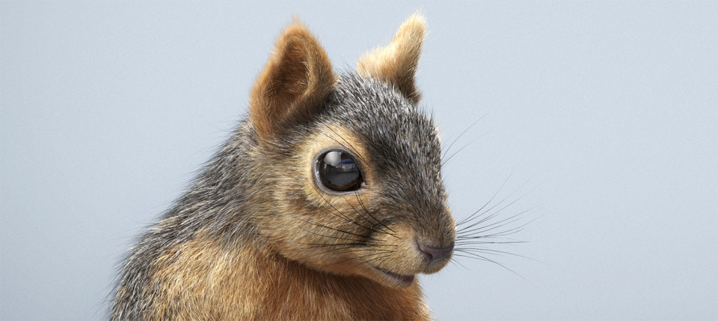 Photorealistic 3D squirrel render showcasing 3D fur grooming and lighting closeup
